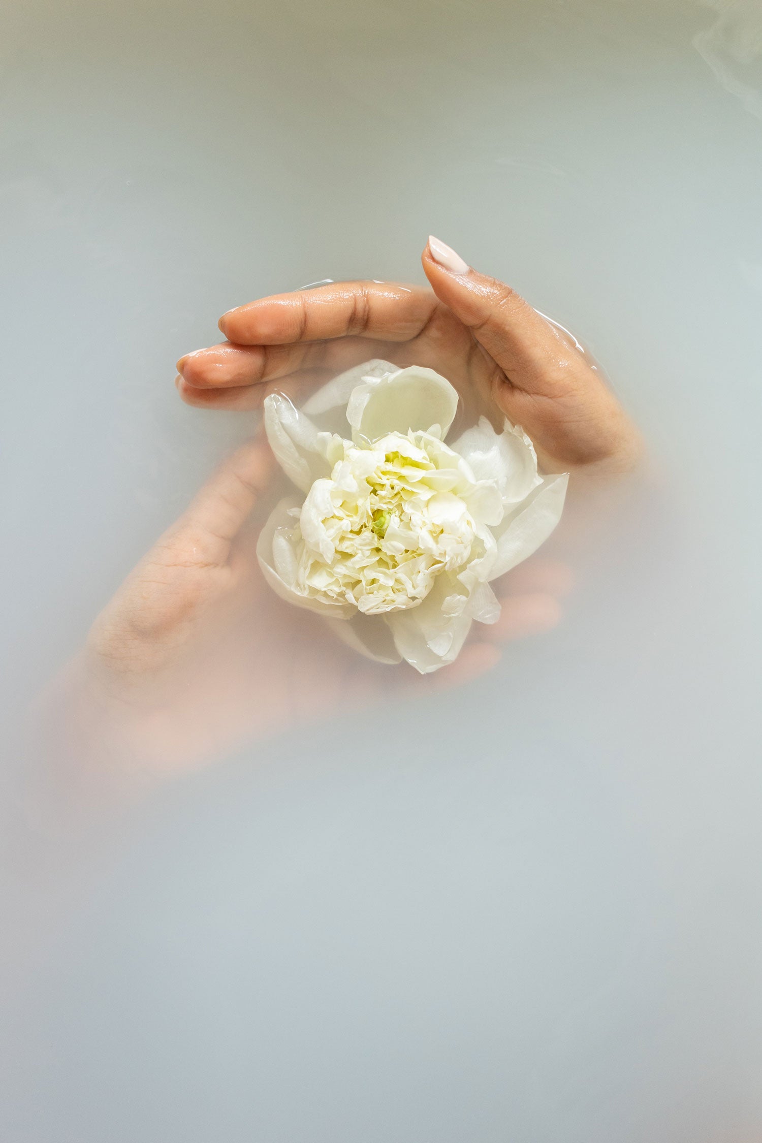 Jardiy - Eau De Toilette